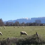 L'escargot Bleu Nyaraló *