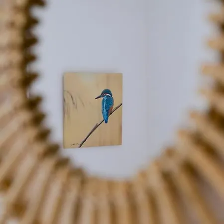 L'escargot Bleu *