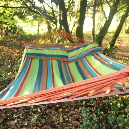 L'escargot Bleu 올롱생테마리