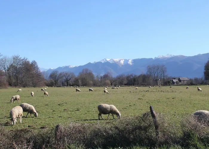 L'escargot Bleu Feriehus *