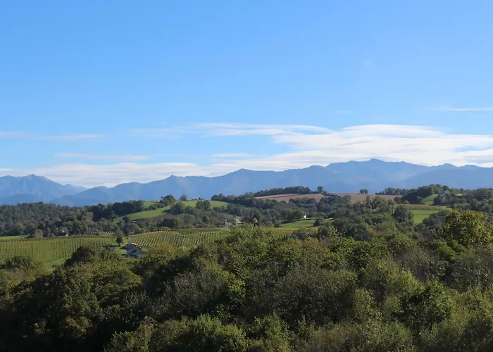 L'escargot Bleu * Oloron-Sainte-Marie